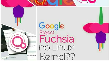 First Look of Google