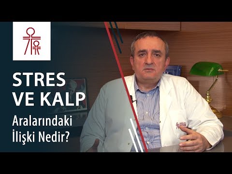 Stres ve kalp hastalığı ilişkisi nedir?