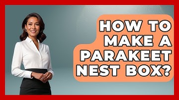 How To Make A Parakeet Nest Box? - Bird Watching Diaries