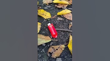 Make fire with an empty lighter 🔥🍀🔪 #outdoors #survival #bushcraft #camping #survivalskills