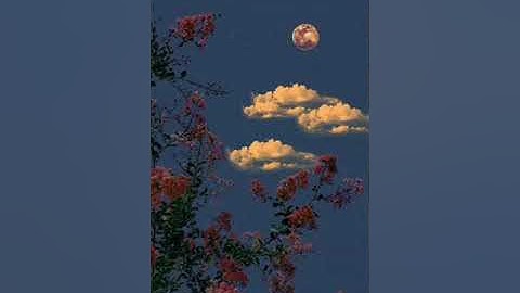 وأدعو ربي عسى ألا أكون بدعاء ربي شقيا | تلاوة هادئة من سورة مريم 🤍🌸