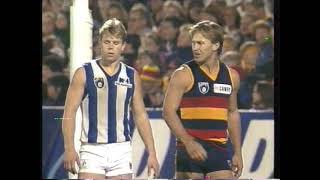 Peter German HUGE Goal AFL Mark of the Year Tony Modra