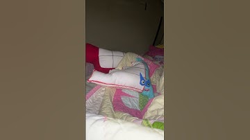 Numberblock 15’s First Day Home Yesterday.