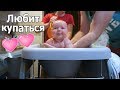 VLOG: Нервная собака / Ребенок любит купаться