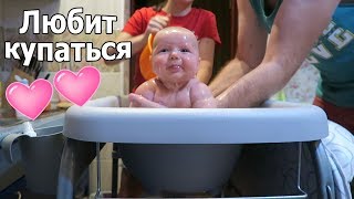 VLOG: Нервная собака / Ребенок любит купаться