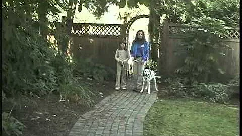 Deborah Wolfe: Teaching how to make your dog heel