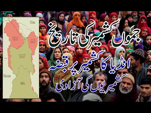 वीडियो: कश्मीरी जम्पर क्या है?