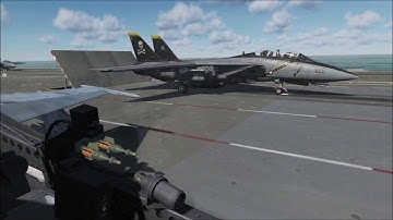 DCS:  Buddy-laze from F-14 to F-18