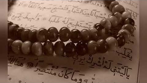 سورة الهمزة _ محمود عبدالحكم