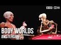 Explore the Human Body at BODY WORLDS Amsterdam: A Must-See Tour - 🇳🇱 Netherlands [8K HDR]