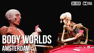 Explore the Human Body at BODY WORLDS Amsterdam: A Must-See Tour - 🇳🇱 Netherlands [8K HDR]