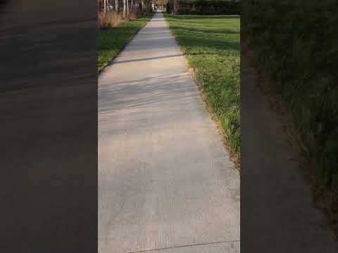 Sciezka rowerowa okolice Heerde, Holandia