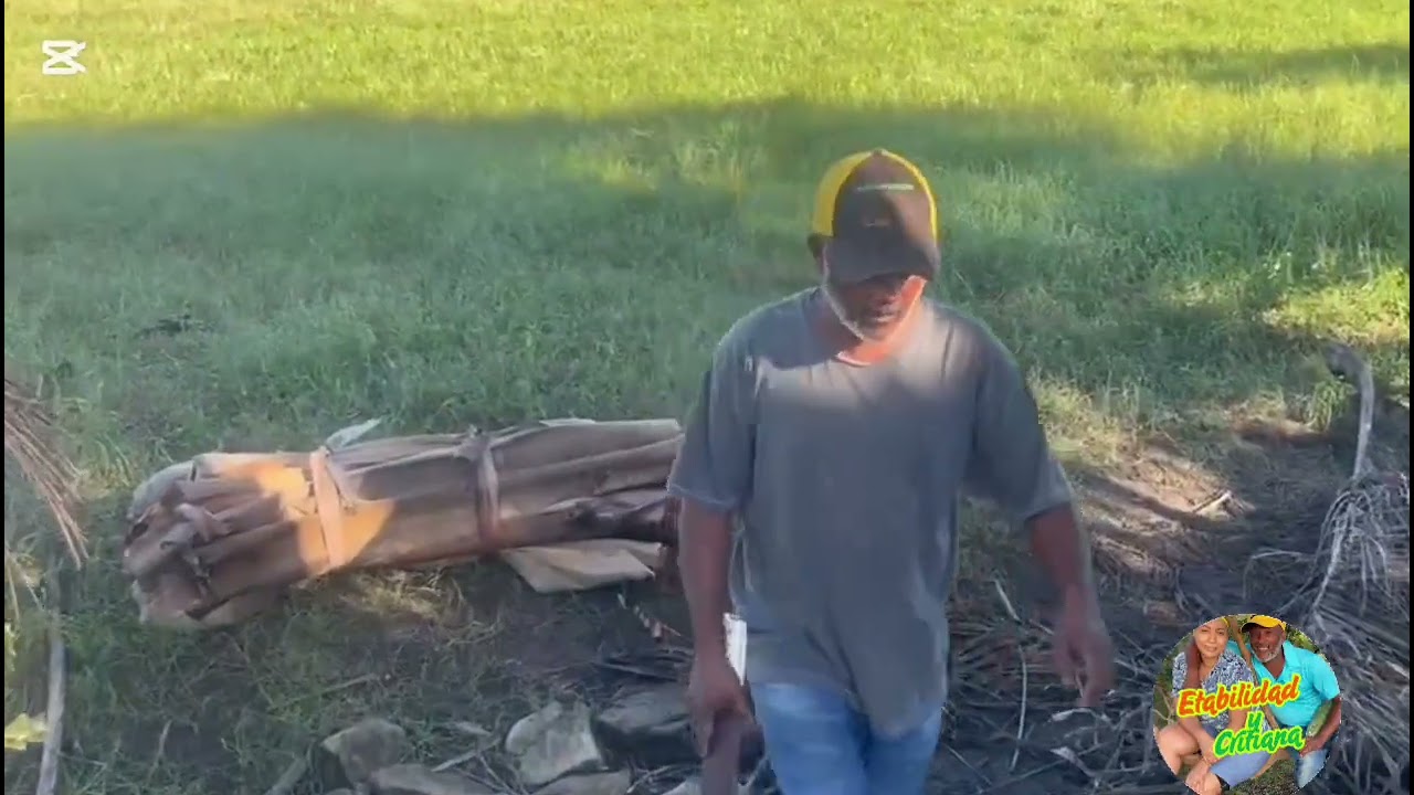 Comiendo arroz, habichuelas y carne de cerdo asada 