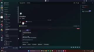 TUTO BOT RAID-HELPER BASIQUE / New World