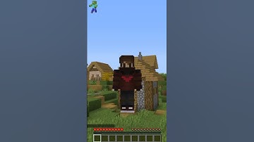 Minecraft but if you subscribed I get a random effect.. #shorts