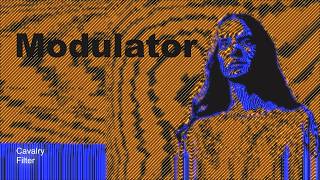 Modulator Filter in Cavalry