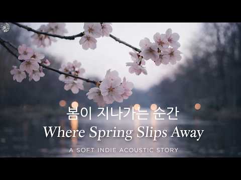 소프트 재즈 & 어쿠스틱 🎧 | 휴식을 위한 감성 플레이리스트 “Quiet Jazz Mood”