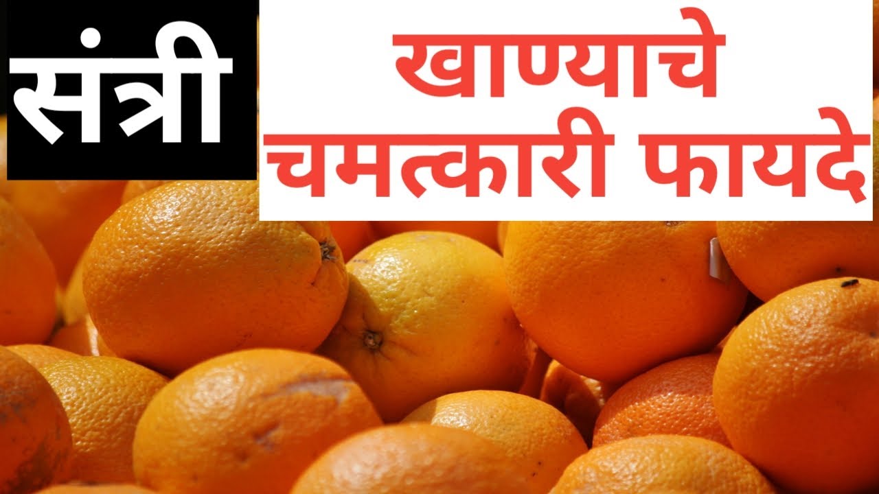 संत्री खाण्याचे फायदे Benefits of Orange in Marathi संत्रा खाने