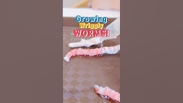 Growing wriggly worms! using tissue paper 🪱 #scienceexperiment #artsandcrafts