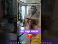 shrimatishukla #dangaltvserial #dangaltv #dangal #reels #shorts #trendingshorts #viralshorts #viral