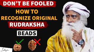 How To Identify Original and Duplicate Rudraksha - Sadhguru #adiyogi