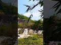 MOUNTAIN TRAVEL LOOKING OTHER S 