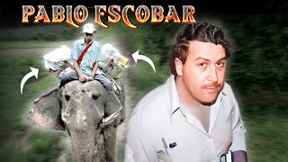 10 Truths and Untruths about Pablo Escobar by Urban Side 371 views 11 months ago 4 minutes, 54 seconds