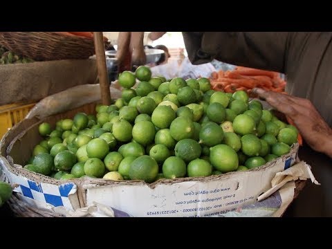 أخبار اليوم انخفاض أسعار الخضار وسعر الليمون مفاجأة