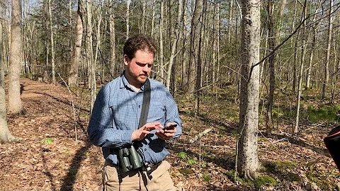 E-Bird keeps delivering for the birders of the world