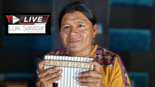 Luis Wuauquikuna nadaje na żywo  #livestream #livemusic