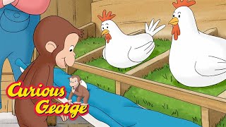 curious george george and the chickens kids cartoon kids movies videos for kids