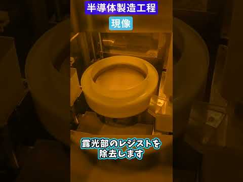 半導体製造工程｜現像【サンケン電気】#shorts