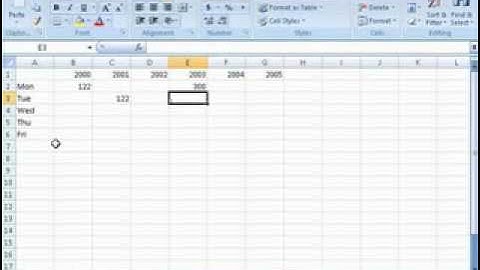 Excel 2007 Creating and Manipulating Data
