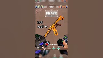 Dropped Skin Glitch #valorant