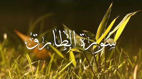 سورة الطارق  رعد الكردي