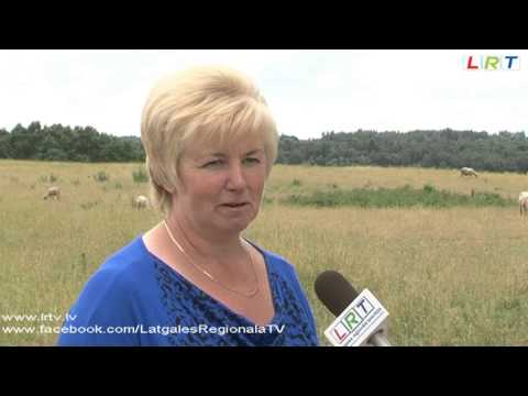 Video: Audzēšana Un Lisianthus šķirnes