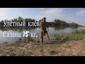 Убойный клёв Сазана|Рыбалка в Астрахани