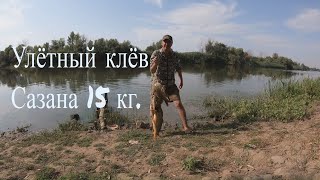 Убойный клёв Сазана|Рыбалка в Астрахани