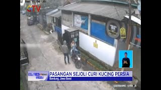 Curi Kucing Persia, Pelaku Panik Dikejar Anjing Tetangga Korban, Bandung #BuletiniNewsSiang 03/06