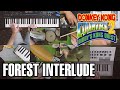 рџЌЊForest Interlude Donkey Kong Country 2 Cover Remake рџЌЊForest Interlude Donkey Kong Country 2 Cover Remake