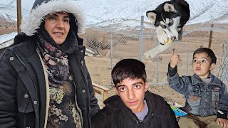 Could You Survive a Day in the Mountains With This Brave Family?