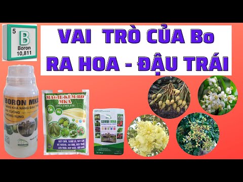 Video: Bo có tác dụng gì đối với cây trồng?