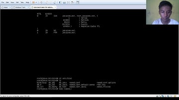 Tutorial cara menginstall DNS pada debian 9 di VMWare