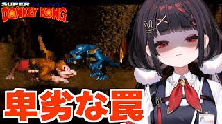 【スーパードンキーコング】隠し部屋に気をつけろ...！その「前」に罠があるぞ(しらんけど)
