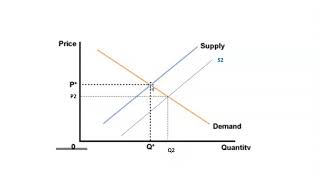 The effect of subsidies to demand supply diagrams