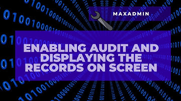 [IBM MAXIMO ADMINISTRATOR]: Enabling Audit and displaying the records on screen