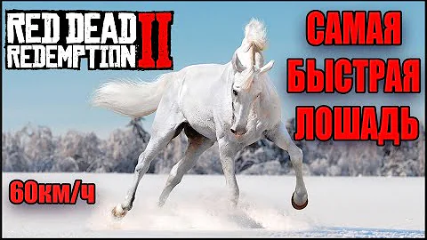 РДР2 АРАБСКАЯ ЛОШАДЬ. Самая быстрая лошадь в RDR2.