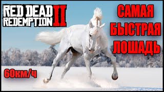 РДР2 АРАБСКАЯ ЛОШАДЬ. Самая быстрая лошадь в RDR2.