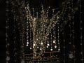 Beautiful Flowers decoration ideas for wedding live on Hyderabad