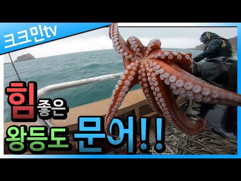 How to fish octopus and how to cook tempura